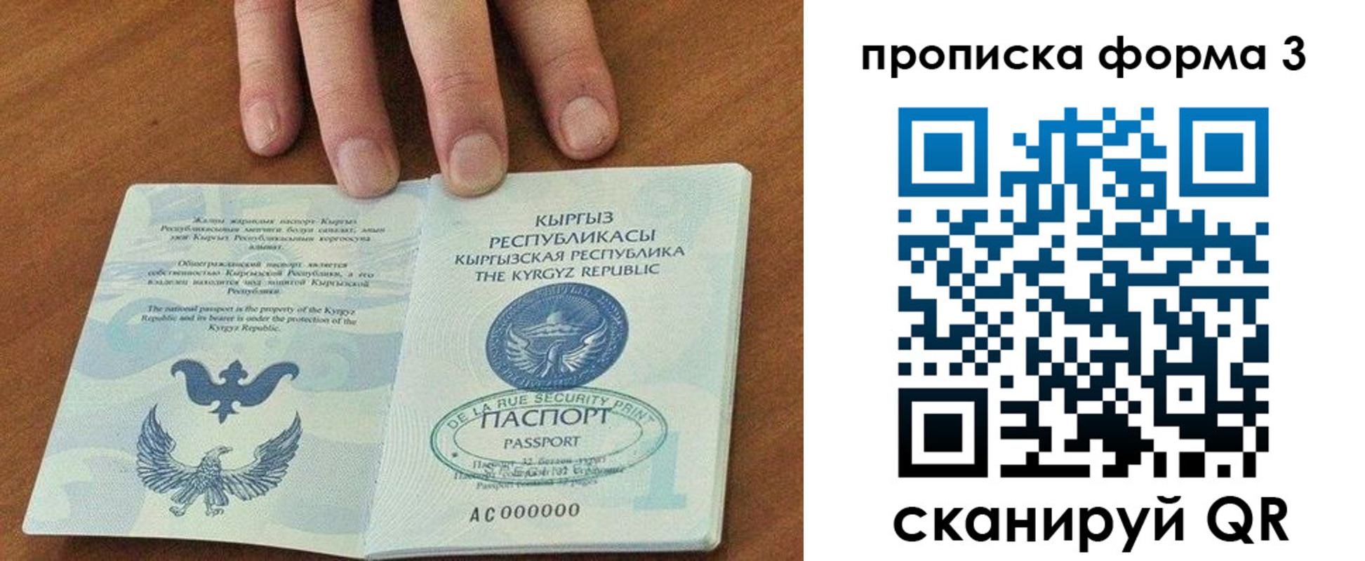 прописка 2025 в Волгореченске